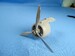 Seversky J9 Propeller set (Dora Wings) MDR48207
