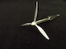 Bristol Beaufort propeller set (ICM)  MDR48279