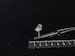 Hurricane seat (2x) MDR72112