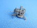 Flak 30/38 with Sd. Ah.51 Trailer MDR7276