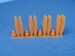 B24/B29 Hamilton Standard Propellers MDR7280