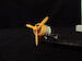 Fiat CR42 Falco Cowling and Fiat A74 engine MDR7298