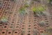 Detailset Soviet Groundplates 260x  MD072212