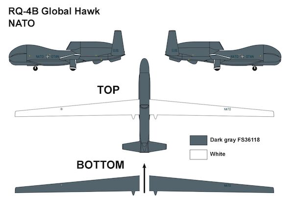 RQ-4B Global Hawk (NATO) MINI311