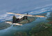DHC L-20A Beaver (Vietnam War - VNAF, Armée de l'Air) MINI360