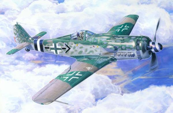 Focke Wulf FW190D-9 "Michaelsik"  c-09