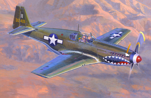 P51B-1 Mustang "Bull Frog I" c46