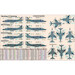 Sea Harrier FRS1 '50 years of 800 NAS"  d-101