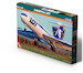 Ilyushin IL62M "PPL LOT" MIS-G32