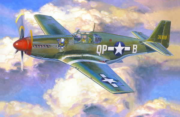 P51B-5 Mustang "Bee" c48