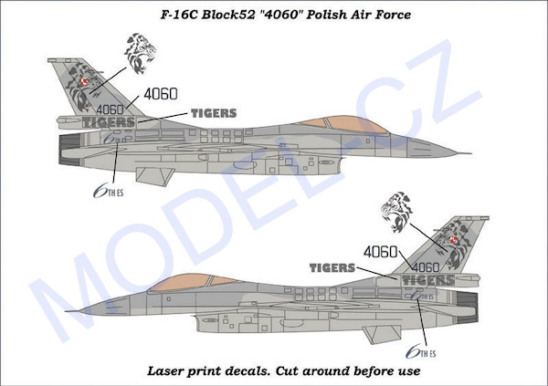 F16C Fighting Falcon (4060 Polish Air Force Tigermeet)  MCZA7205