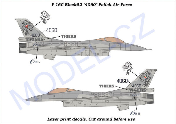 F16C Fighting Falcon (4060 Polish Air Force Tigermeet) MCZA7205