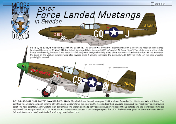 Forced Landed P51B Mustangs in Sweden 32003