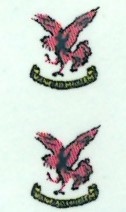 SAAF 8sq Badge (2) ARANID D4808