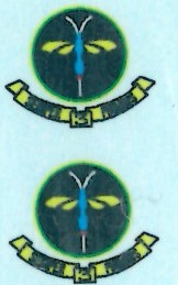 SAAF 3sq Badge Low viz(2) ARANID D4810