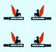 SAAF 5sq Badge (2) as used on Cheetah`s ARANID D4828