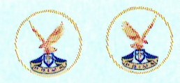 SAAF 1sq Badge (2) Lo-Viz ARANID D4831
