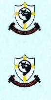 SAAF 40SQ Badge (2) ARANID D4833
