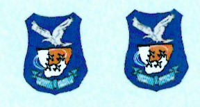 SAAF Silwer valke (MB326) Badge (2)  ARANID D4837