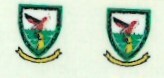 SAAF 22sq Badge (2) ARANID D7206