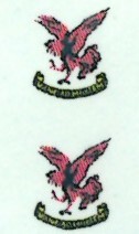 SAAF 8sq Badge (2) ARANID D7208