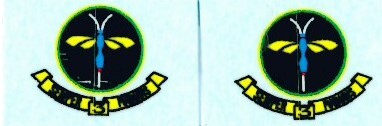 SAAF 3sq Badge (2) ARANID D7209