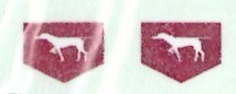 SAAF 41sq Badge (2) ARANID D7212
