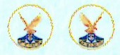 SAAF 1sq Badge (2) Hi-Viz ARANID D7230
