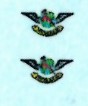 SAAF 44sq Badge (2) ARANID D7234