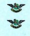 SAAF 44sq Badge (2) 44SQ BADGE