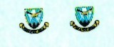 SAAF 15sq Badge (2) ARANID D7236