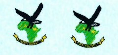 SAAF CFS Badge (2) ARANID D7238