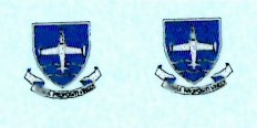 SAAF FTS Badge (2) ARANID D7240