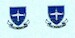 SAAF FTS Badge (2) FTS BADGE