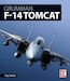 Grumman F-14 Tomcat 