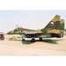 Chesnut Brown ParPac 5 tone camo (MiG23, MiG29,Su22, Su25 (30ml Bottle) MRP-166
