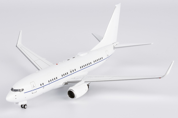Boeing 737-700BBJ C-40B US Air Force 02-0042  05008