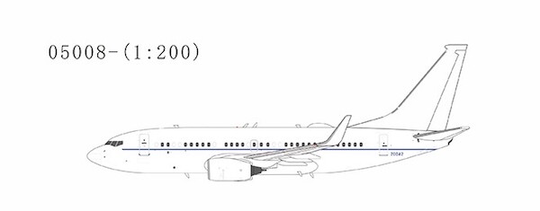Boeing 737-700BBJ C-40B US Air Force 02-0042 05008