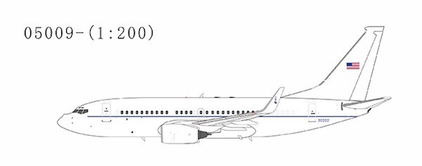 Boeing 737-700BBJ C-40B US Air Force 02-0202 05009
