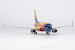 Boeing 737-700 Southwest Airlines "Arizona One" N955WN  05029