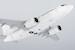 Boeing 737-600 Blank  06000