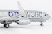 Boeing 737-800 American Airlines "oneworld" N973AN 08050