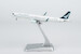 Airbus A321neo Cathay Pacific Airways B-HPS "80 Years Together" sticker; Luxurious packaging 13164 ULTIMATE