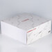 COMAC C919 Blank Model  29000