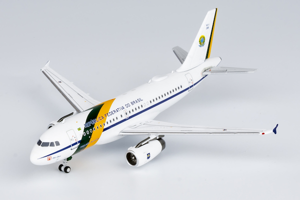 Airbus A319-100 ACJ(VC-1A) Brazilian Air Force FAB2101  49013