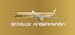 Airbus A350-1000 Starlux Airlines B-58554 Airsorayama Golden; Luxurious packaging 