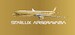 Airbus A350-1000 Starlux Airlines B-58554 Airsorayama Golden 