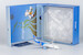 Airbus A330-200 China Southern Airlines "Asian Games" B-6057 ULTIMATE COLLECTION LUXURY PACKAGE  61081