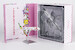 Boeing 777-300ER Eva Air HELLO KITTY “Candy Jet” Sanrio Characters B-16740 (ULTIMATE COLLECTION) 73073