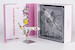 Boeing 777-300ER Eva Air HELLO KITTY “Candy Jet” Sanrio Characters B-16740 (ULTIMATE COLLECTION)  73073